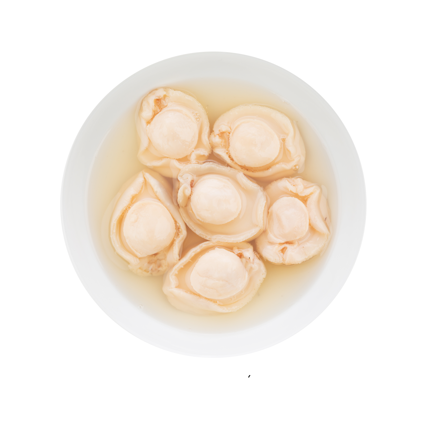 Ocean Road Abalone – Premium Abalone in Brine 213g canned