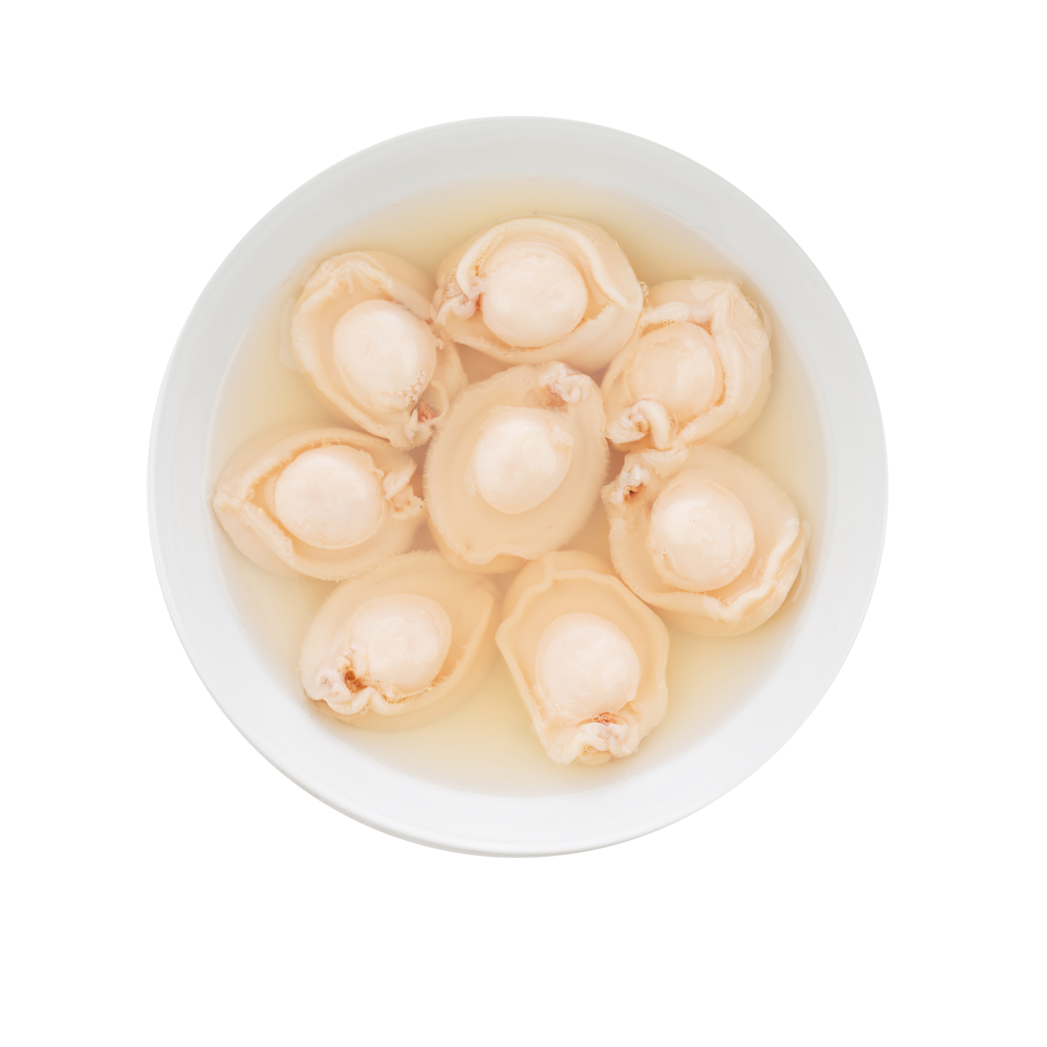 Premium Abalone in Brine 213g can - Best Before 2026 - 30% off