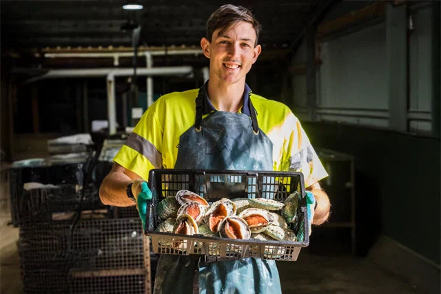 Why is abalone so expensive?