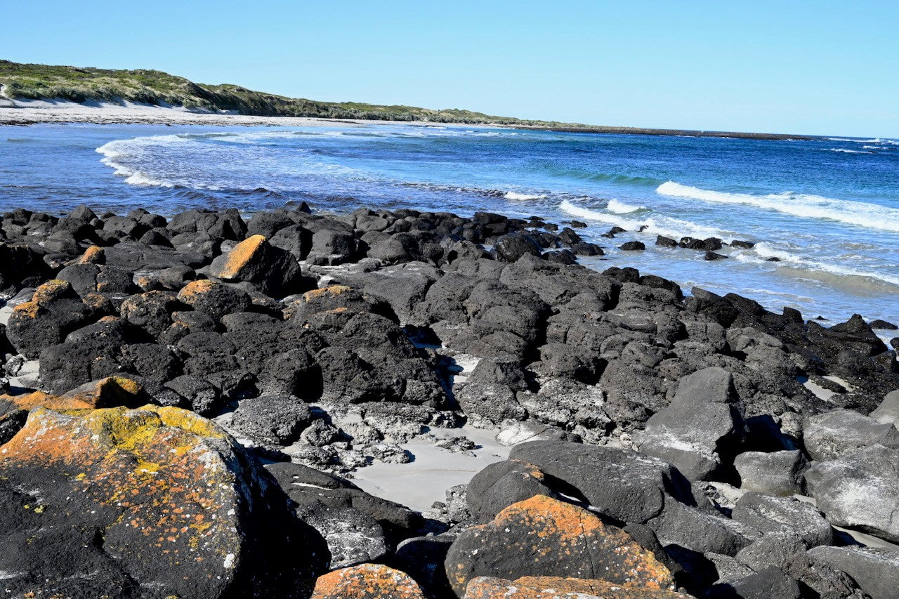 Volcanic abalone?