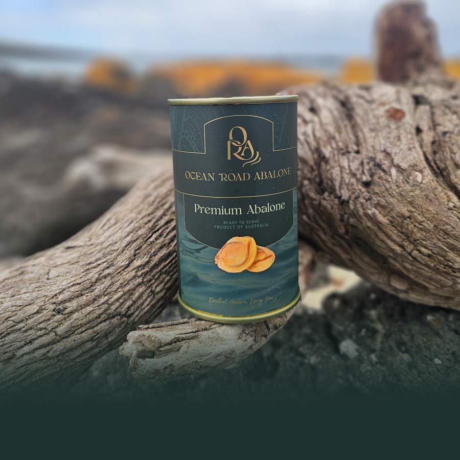 Premium Canned Abalone in Brine